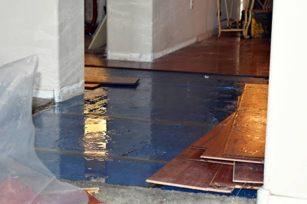 Professional Sewage Cleanup technician working in Burton, MI